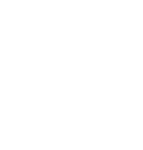 PS Ville de Genève